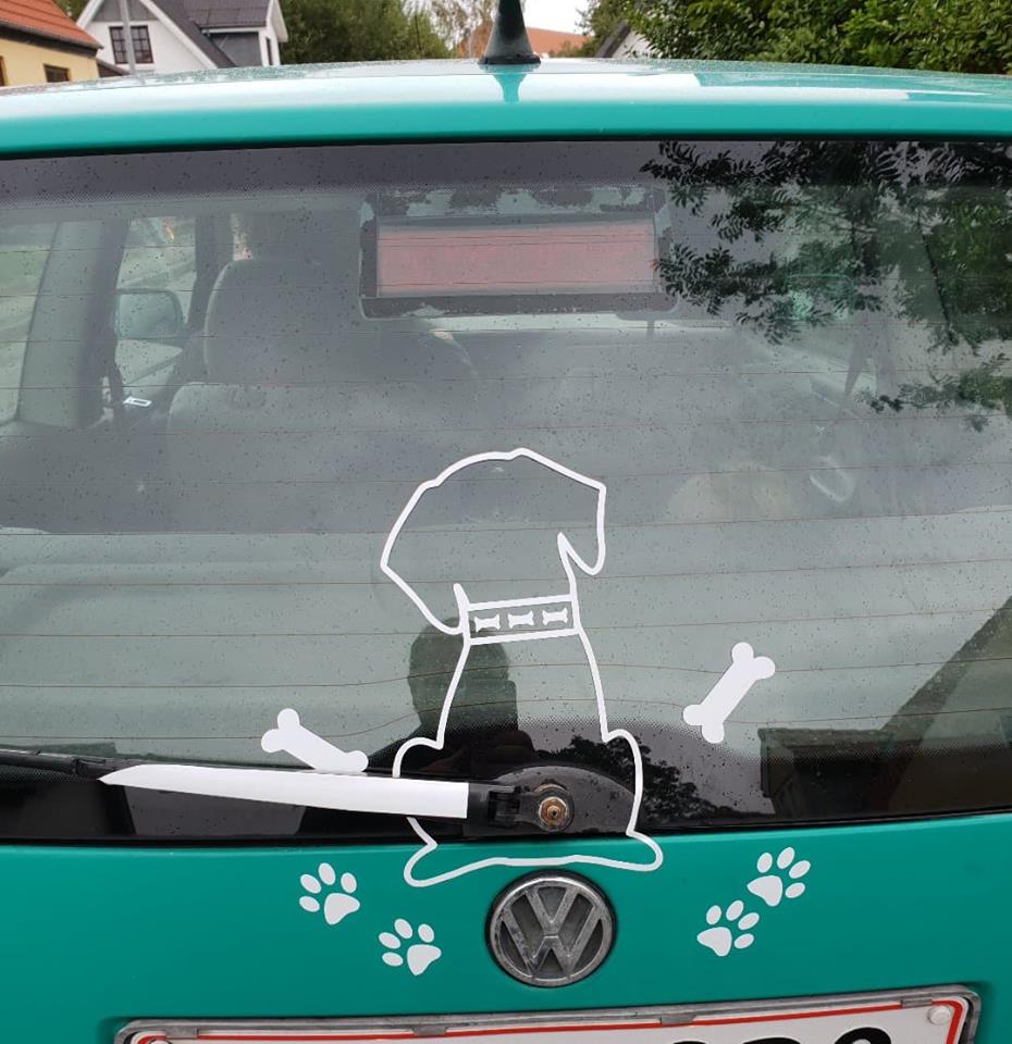 Terminologi kronblad storhedsvanvid Hund til bilen med viskerhale – I Love Wallstickers